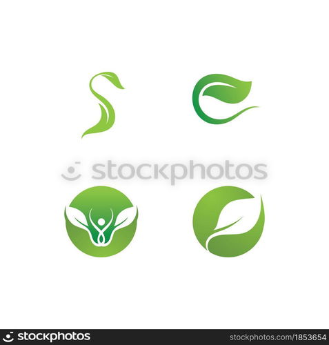 Leaf green plant logo fresh vector template