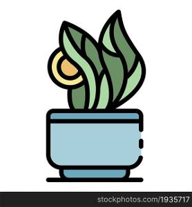 Leaf houseplant icon. Outline leaf houseplant vector icon color flat isolated. Leaf houseplant icon color outline vector