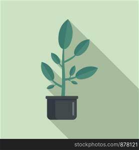 Leaf houseplant pot icon. Flat illustration of leaf houseplant pot vector icon for web design. Leaf houseplant pot icon, flat style