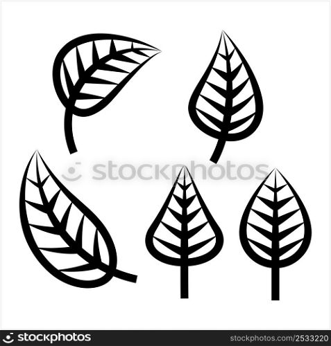 Leaf Icon, Appendage Growing From The Stem Of A Plant, Organ Of A Vascular Plant Vector Art Illustration