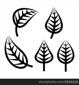 Leaf Icon, Appendage Growing From The Stem Of A Plant, Organ Of A Vascular Plant Vector Art Illustration