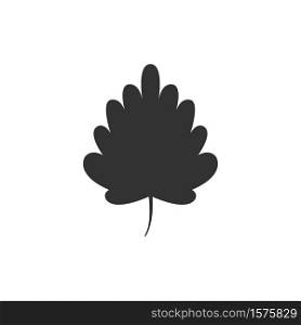 Leaf icon. Autumn time. Vector illustration