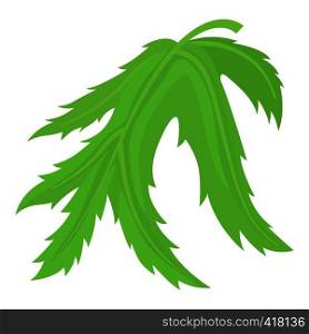 Leaf icon. Cartoon illustration of leaf vector icon for web. Leaf icon, cartoon style