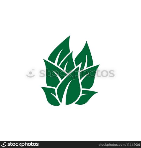 Leaf icon design template vector isolated illustration. Leaf icon design template vector isolated