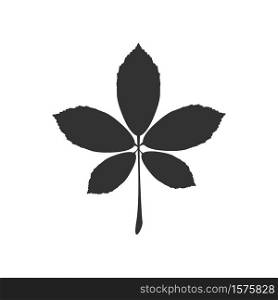 leaf icon. Flat icon autumn leaves. Vector illustration