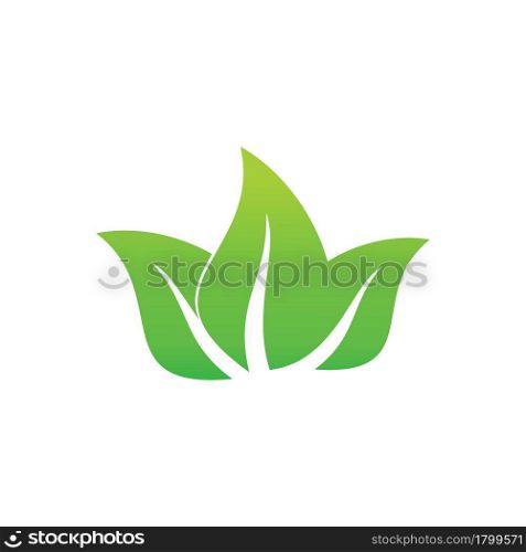 Leaf icon. Green Leaf. Leaf icon vector. Leaf icon vector illustration. Leaf icon image. Leaf icon jpeg. Leaf icon eps. Leaf icon isolated on white background. Leaf icon png. Leaf icon jpg. Leaf icon simple. Leaf icon flat.