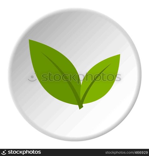 Leaf icon in flat circle isolated vector illustration for web. Leaf icon circle