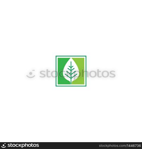 Leaf icon logo template illustration