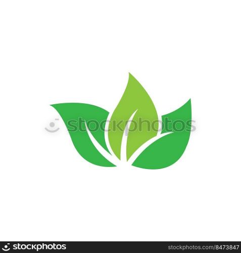 leaf icon logo vector design template