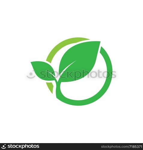 Leaf icon logo vector illustration