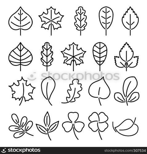 Leaf icon set. Linear vector illustration isolate on white background. Natural autumn plants. Pictures for logo design. Symbol of linear outline leaf. Leaf icon set. Linear vector illustration isolate on white background. Natural autumn plants. Pictures for logo design