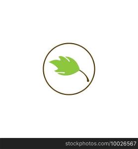 leaf icon vector design illustration template and background