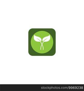  leaf icon vector design illustration template and background