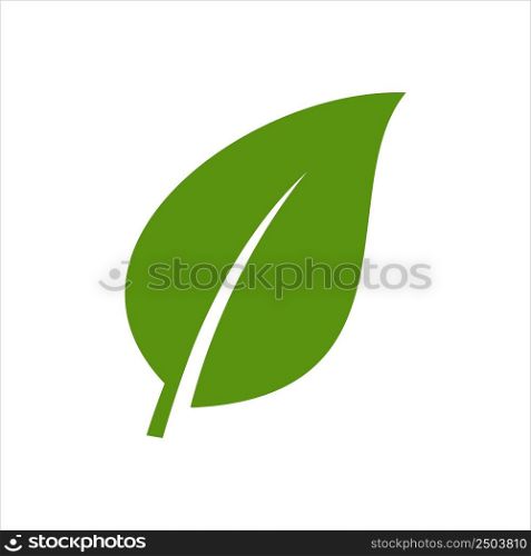 leaf icon vector design template simple and clean
