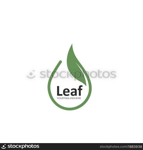 leaf icon vector drop concept design template web
