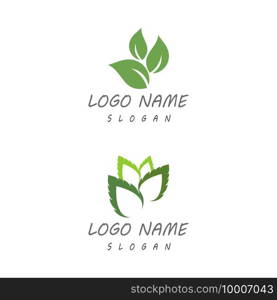 Leaf icon Vector Illustration design Logo template