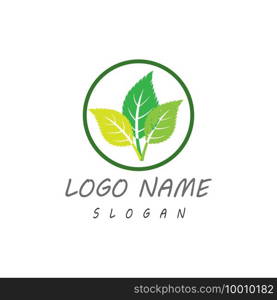 Leaf icon Vector Illustration design Logo template