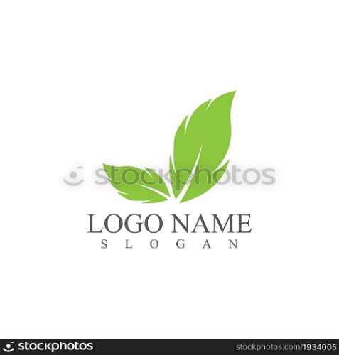 Leaf icon Vector Illustration design Logo template