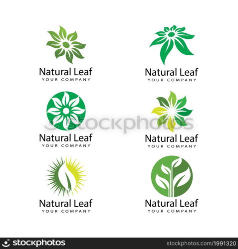 Leaf icon Vector Illustration design Logo template