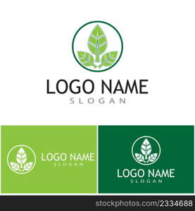 Leaf icon Vector Illustration design Logo template