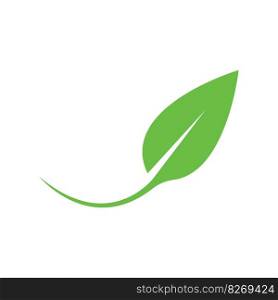 leaf icon vector illustration symbol design