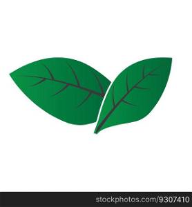 leaf icon vector illustration template design