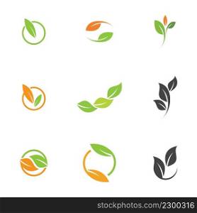 Leaf  icon vector set isolated on white background. Various shapes of green leaves of trees and plants. Elements for eco and bio logos