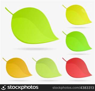 Leaf icon2. Set leaf a tree on a grey background. A vector illustration