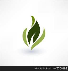 Leaf icons. Eco concept. Logo design.