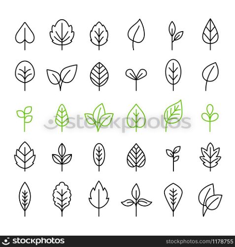 Leaf icons. Outline leaves isolated icon set, vector green line tree foliage for buttons and logo designs. Outline leaves isolated icon set