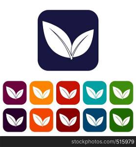 Leaf icons set vector illustration in flat style in colors red, blue, green, and other. Leaf icons set