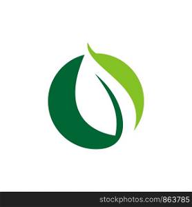 Leaf in Green Circle Logo Template Illustration Design. Vector EPS 10.