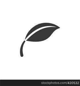 Leaf. Isolated icon. Nature glyph vector illustration