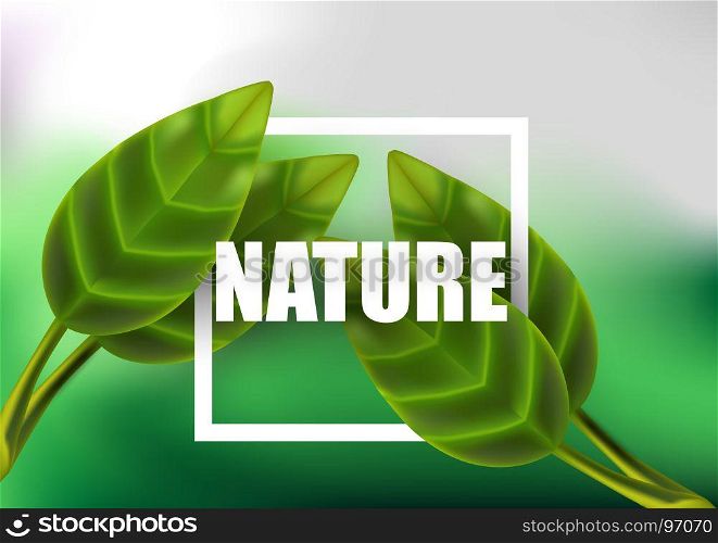 Leaf leaves realistic vector green isolated plant nature background tropical summer 3d design eco flora floral forest isolated summer organic