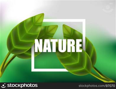 Leaf leaves realistic vector green isolated plant nature background tropical summer 3d design eco flora floral forest isolated summer organic