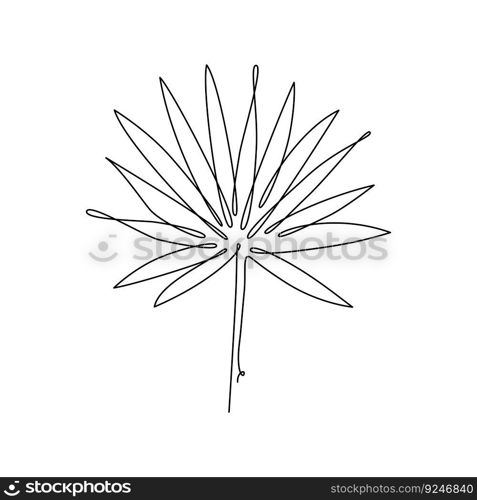 LEAF LINE ART. Vector plant leaf Continuous Line Drawing. Vector for print poster, card, sticker tattoo, tee with palm tree leaf. One Line art black Hand Drawn simple Illustration on White Background. LEAF LINE ART. Vector plant leaf Continuous Line Drawing. Vector illustration with palm tree leaf