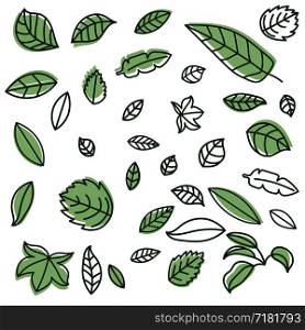 Leaf line. Hand drawn sketch. Foliage thin simple outline. Contour vector collection