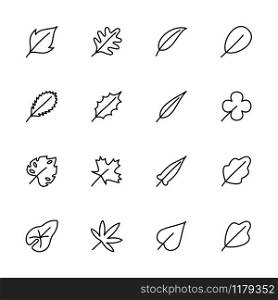Leaf line icon collection set. Editable stroke vector, isolated at white background