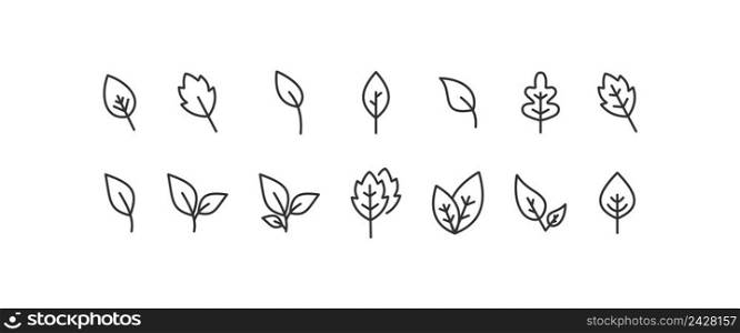 Leaf line icon set.   Tree leaves vector desing.
