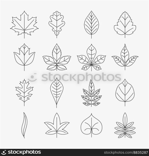 Leaf line icons set vector image