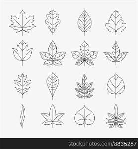 Leaf line icons set vector image