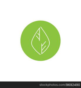 Leaf line logo vector and symbol