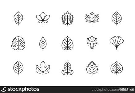 Leaf linear icons vector set. Isolated collection of leaves for creating logos, web design, illustrations, printed products and more. Line icons of leaves of different types of plants.