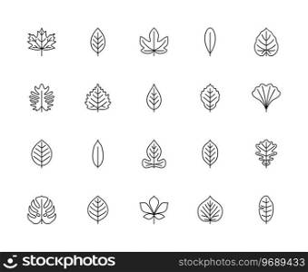 Leaf linear vector icons. Nature and ecology. Maple, cherry, figs, olive, philodendron, birch, ash, beech, ginkgo biloba and many others. Isolated outline of leaves plants on a white background.