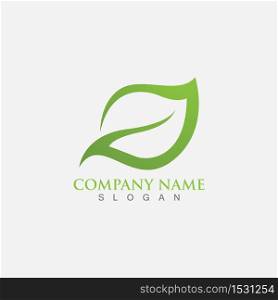 Leaf logo and symbol template vector