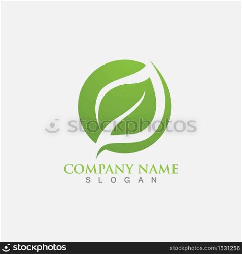 Leaf logo and symbol template vector
