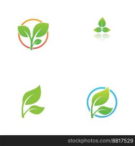 leaf logo and vector images