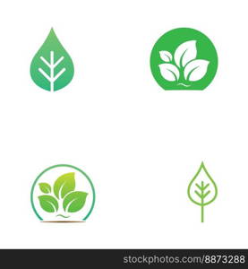 leaf logo and vector images