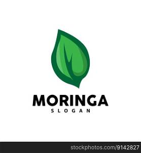 Leaf Logo, Eco Green Plant Vector, Green Earth Care Recycling Design, Moringa Leaf Logo Icon Template Illustration
