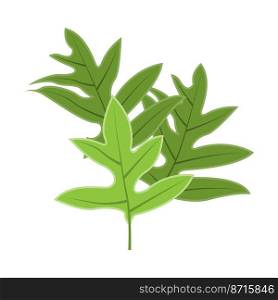 Leaf Logo Green Plant Design Leaves Of Trees Product Brand Template Illustration